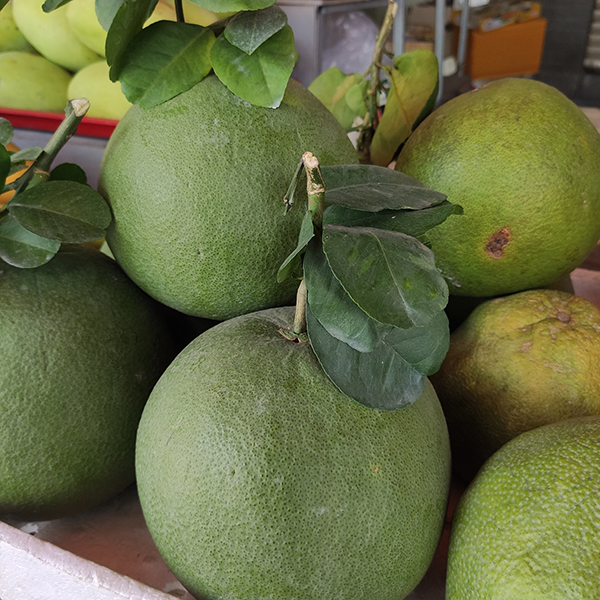 Bưởi da xanh ruột đỏ